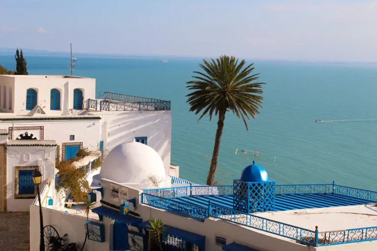 Nos bureaux - Tunisie